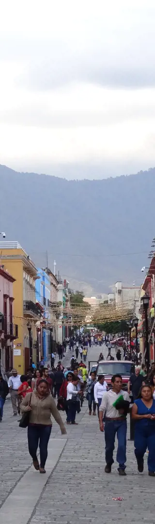 Das lebendige Oaxaca
